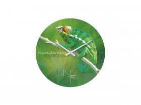 Часы настенные Nicole Time NT503 в Солнечном - solnechnyj.mebel-nsk.ru | фото
